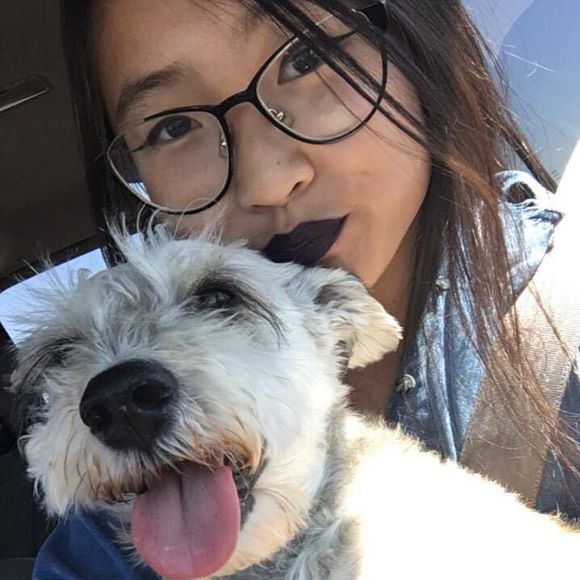 Meet your Posher, Chloe - Picture 1 of 1